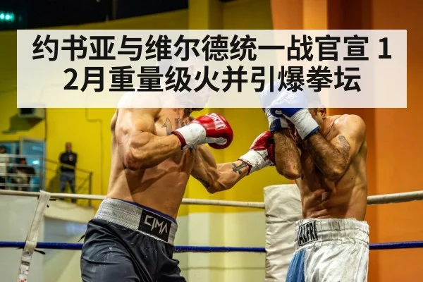 约书亚与维尔德统一战官宣 12月重量级火并引爆拳坛